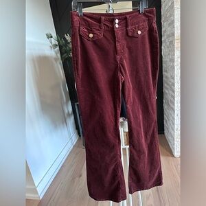 Jones New York Boot Cut Corduroy Pants